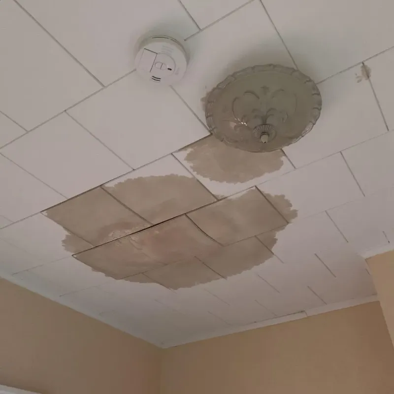 Ceiling Water Damage Repair in Hollis, OK