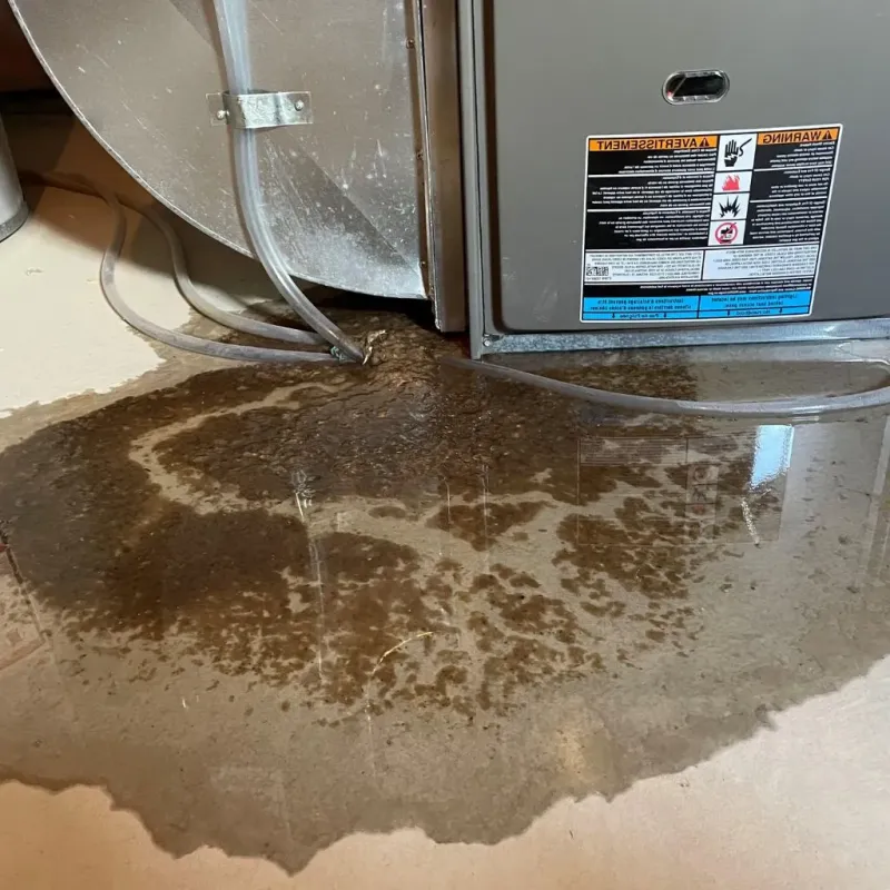 Pipe Burst and Leak Restoration in Hollis, OK