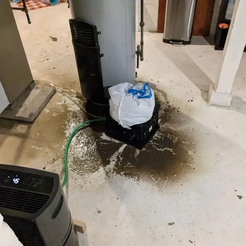 Sewage Backup Cleanup Service in Hollis, OK